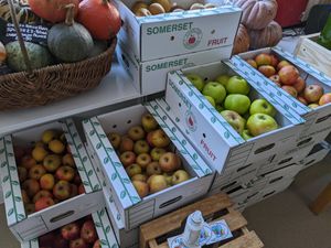 Many apple varieties at Not Just Veg in Axminster