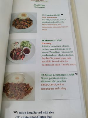 Menu at Loving Hut in Helsinki