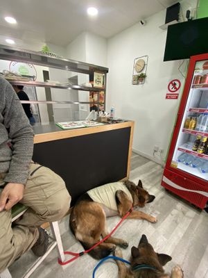   at Míleljos Vegan in Alicante