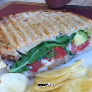 avocado melt! at Beet Box Bakery & Cafe in Denver