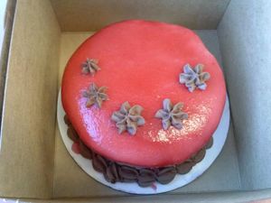 raspberry chocolate mini cake at Beet Box Bakery & Cafe in Denver