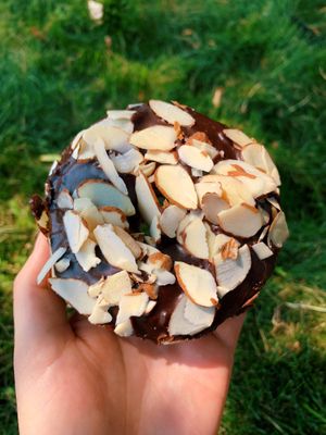 Almond chocolate donut  at Beet Box Bakery & Cafe in Denver
