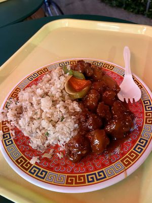 Platter dish with orange chicken and sweet and sour pork (the pork was fantastic) at Oscar in Tokyo