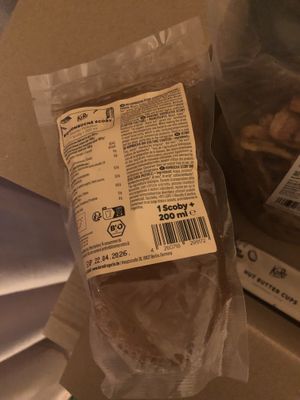 A scoby (kombucha starter culture)!  at KoRo in Berlin