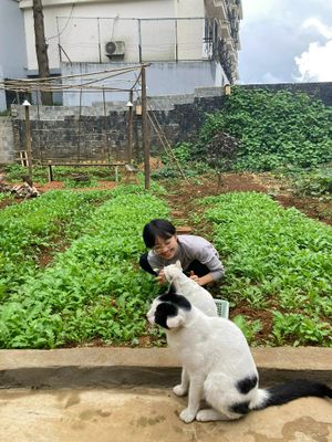  at Thong Dong 2 - Vegan Friendly Kitchen in Lao Cai