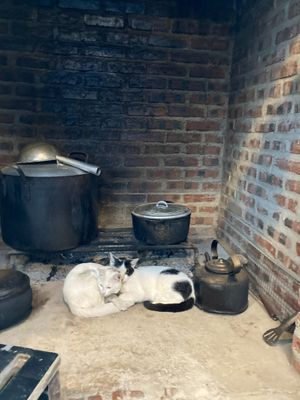  at Thong Dong 2 - Vegan Friendly Kitchen in Lao Cai