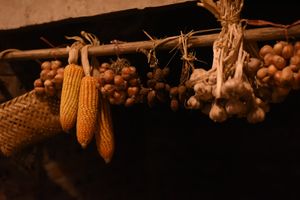  at Thong Dong 2 - Vegan Friendly Kitchen in Lao Cai