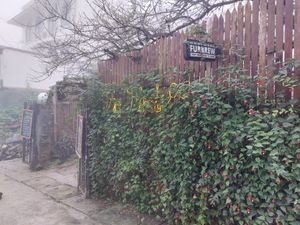 We finish the food before we realise to make a photo, so good it was! at Thong Dong 2 - Vegan Friendly Kitchen in Lao Cai
