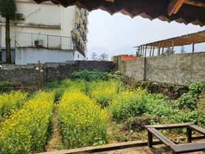  at Thong Dong 2 - Vegan Friendly Kitchen in Lao Cai