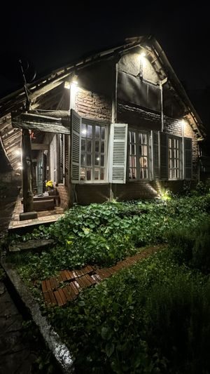   at Thong Dong 2 - Vegan Friendly Kitchen in Lao Cai