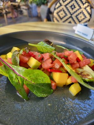  at Millennium Garden in Tirana