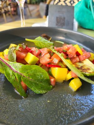  at Millennium Garden in Tirana