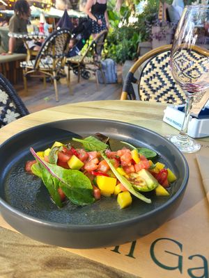  at Millennium Garden in Tirana