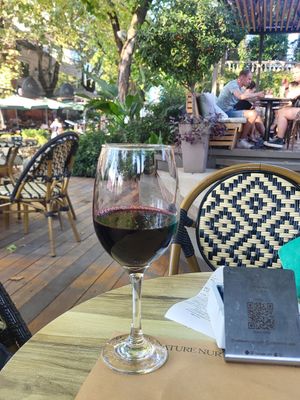  at Millennium Garden in Tirana