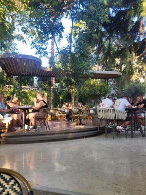  at Millennium Garden in Tirana