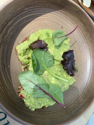   at Millennium Garden in Tirana