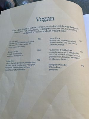   at Millennium Garden in Tirana