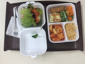 Delivery boy WhatsApp  at Com-Sciencia -  Francisco Jose Longo in Sao Jose Dos Campos