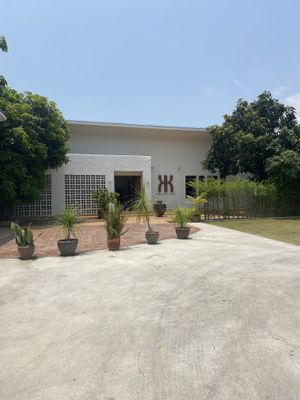   at Kina Kind Cuisine in Pattaya