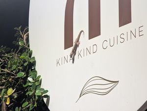 Cute gecko at Kina Kind Cuisine in Pattaya