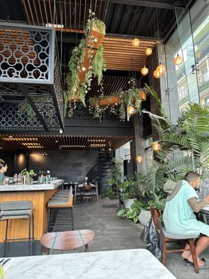 The lower plants were real  at Ver De in El Nido