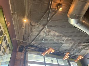 Fly at The Fly Trap in Ferndale