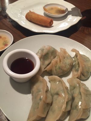 Dumplings and spring roll at Green Sprout in Atlanta