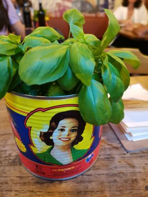 Fresh basil at Pizza Bertoldi - Jakubská in Prague