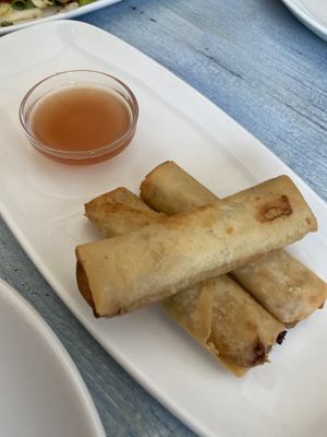 Veg spring rolls   at Thi Vietnamese in 