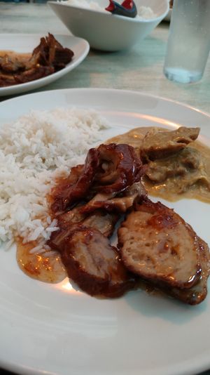 Vegan duck with plum sauce, vegan duck curry and rice at Thi Vietnamese in 