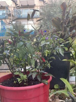 Unique decor   at Thi Vietnamese in 