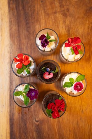 Flor de mousses de cacao at Maxan in Antigua