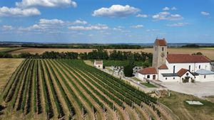 Ried Kirchengarten, one of the highest vineyards in the Weinviertel region with 400m above sea level. (Danube is on 200m) The soil is made of sandstone, which we have just there. at Weingut Setzer in Hohenwarth