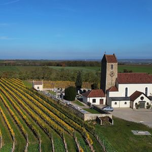 Ried Kirchengarten Weinviertel DAC Reserve - Buntsandstein, einer der höchsten Weingärten im Weinviertel at Weingut Setzer in Hohenwarth