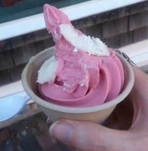 Strawberry soft serve with (hard) coconut cream at Grab 'n Go Health Bar in Provincetown