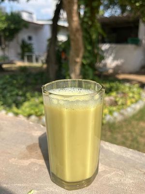  at The Arty Vegan - थे'आर्टिवेजन कैफे in Pushkar