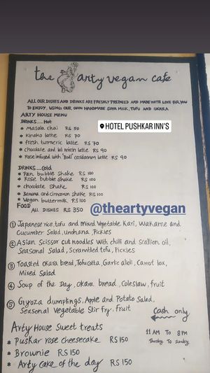  at The Arty Vegan - थे'आर्टिवेजन कैफे in Pushkar
