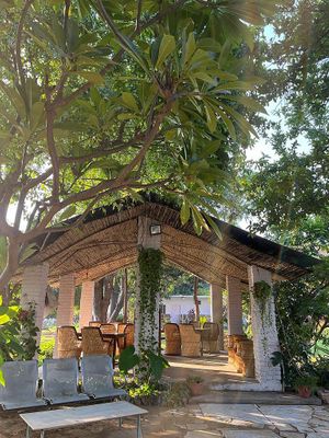  at The Arty Vegan - थे'आर्टिवेजन कैफे in Pushkar