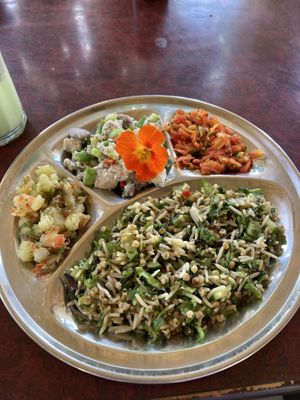   at The Arty Vegan - थे'आर्टिवेजन कैफे in Pushkar