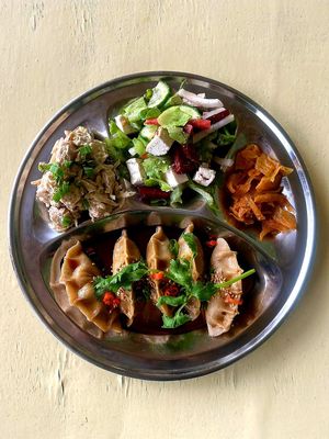 Japanese gyoza at The Arty Vegan - थे'आर्टिवेजन कैफे in Pushkar