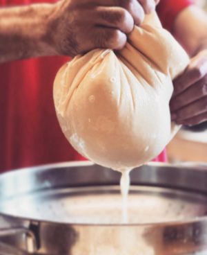 Tofu making every day at The Arty Vegan - थे'आर्टिवेजन कैफे in Pushkar