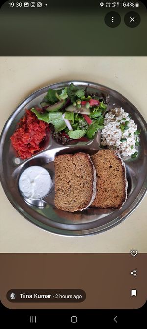 Carrot lox and gluten free bread at The Arty Vegan - थे'आर्टिवेजन कैफे in Pushkar