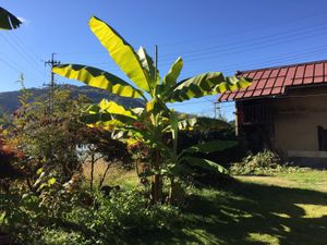  at Surya Dev in Nagano