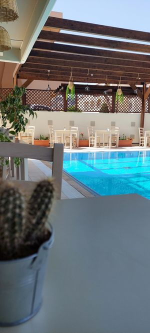 Pool views at GOJI Vegan Hotel in Rhodes