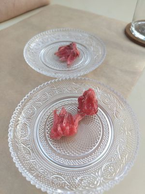 Dried hibiscus flower (dessert) at GOJI Vegan Hotel in Rhodes