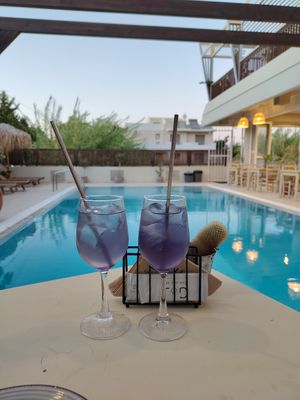  at GOJI Vegan Hotel in Rhodes