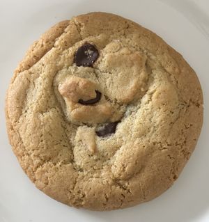   at Cinnamon Bakery in Hull