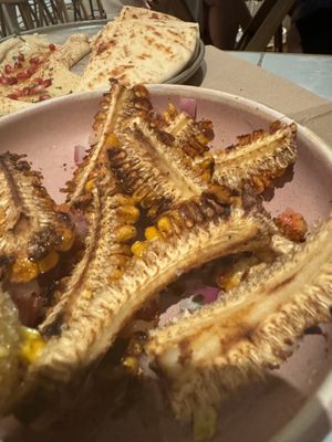   at Salty's in Bondi Beach