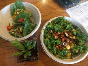 Hale to the Kale Salad and three wraps at Fruitive in Virginia Beach