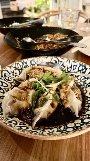 Potstickers  at Little Pearl in Manly